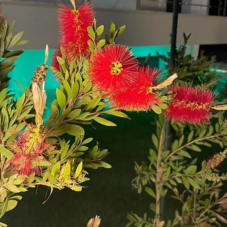 Diamond Light شقة